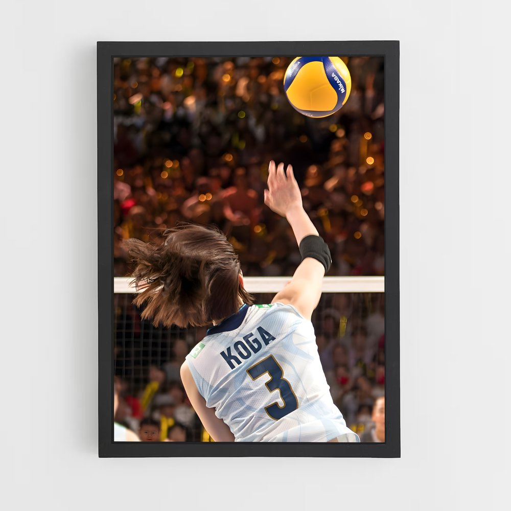 Poster Volleyball league (vue 2)